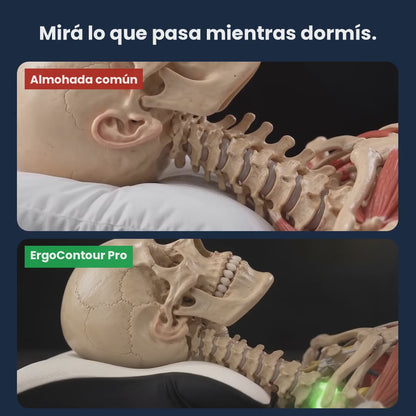 Almohada Cervical ErgoContour Pro | Alivio desde la Primera Noche